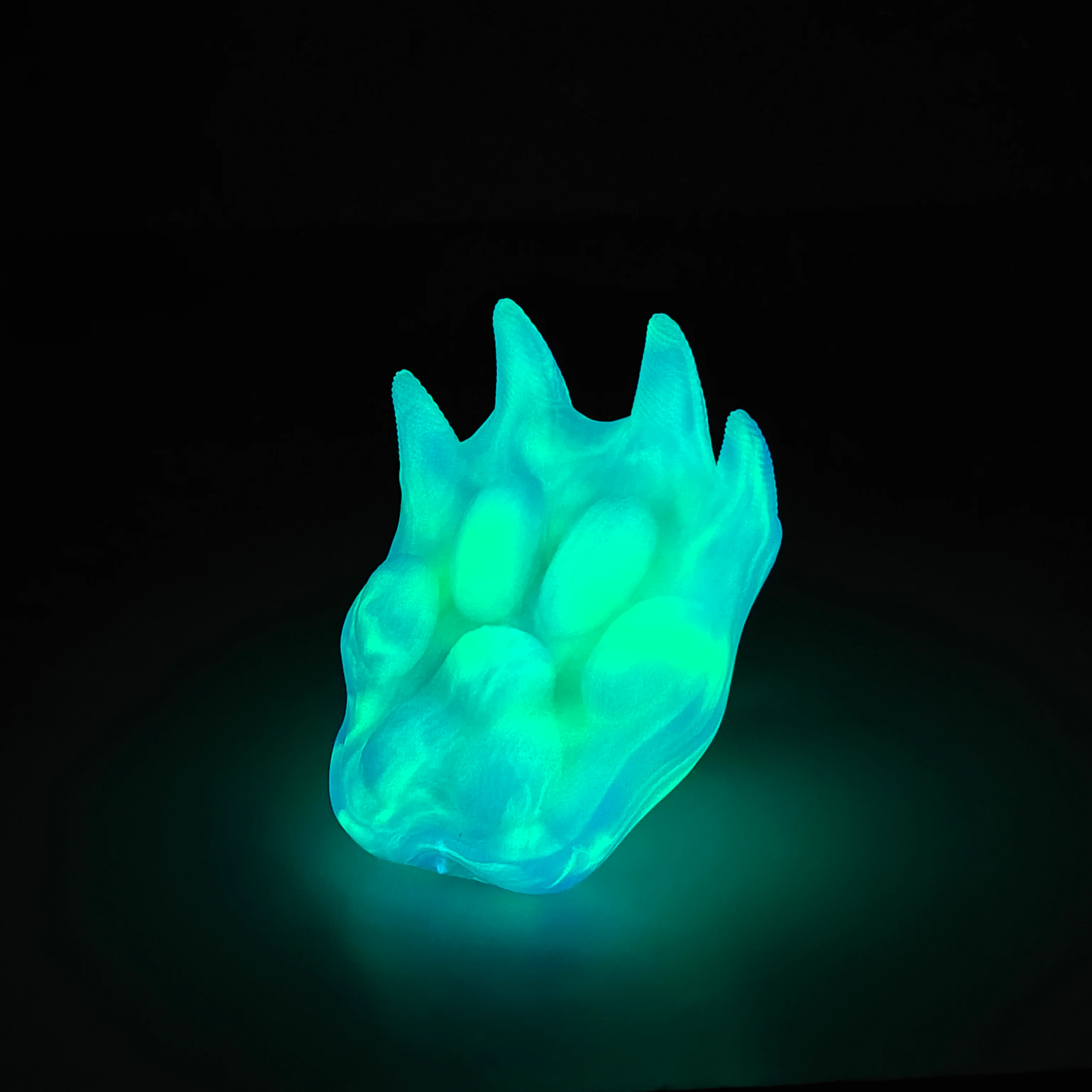 Bear paw - Image 2