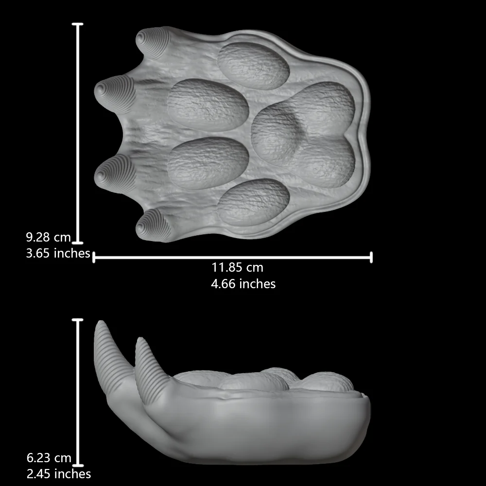 Bear paw - Image 3