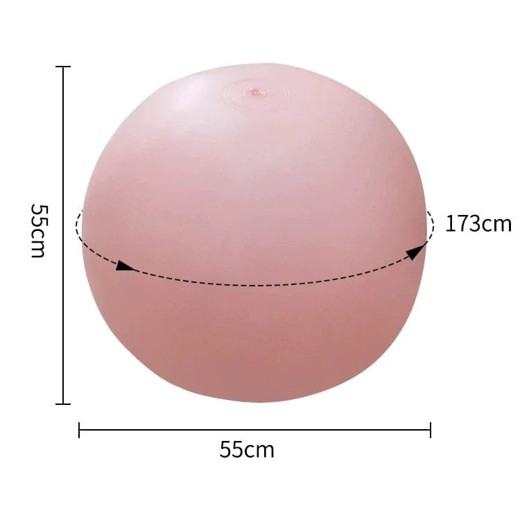 Bouncy Inflatable Sex Ball with Remote Control Vibrating Realistic Dildo - Image 9