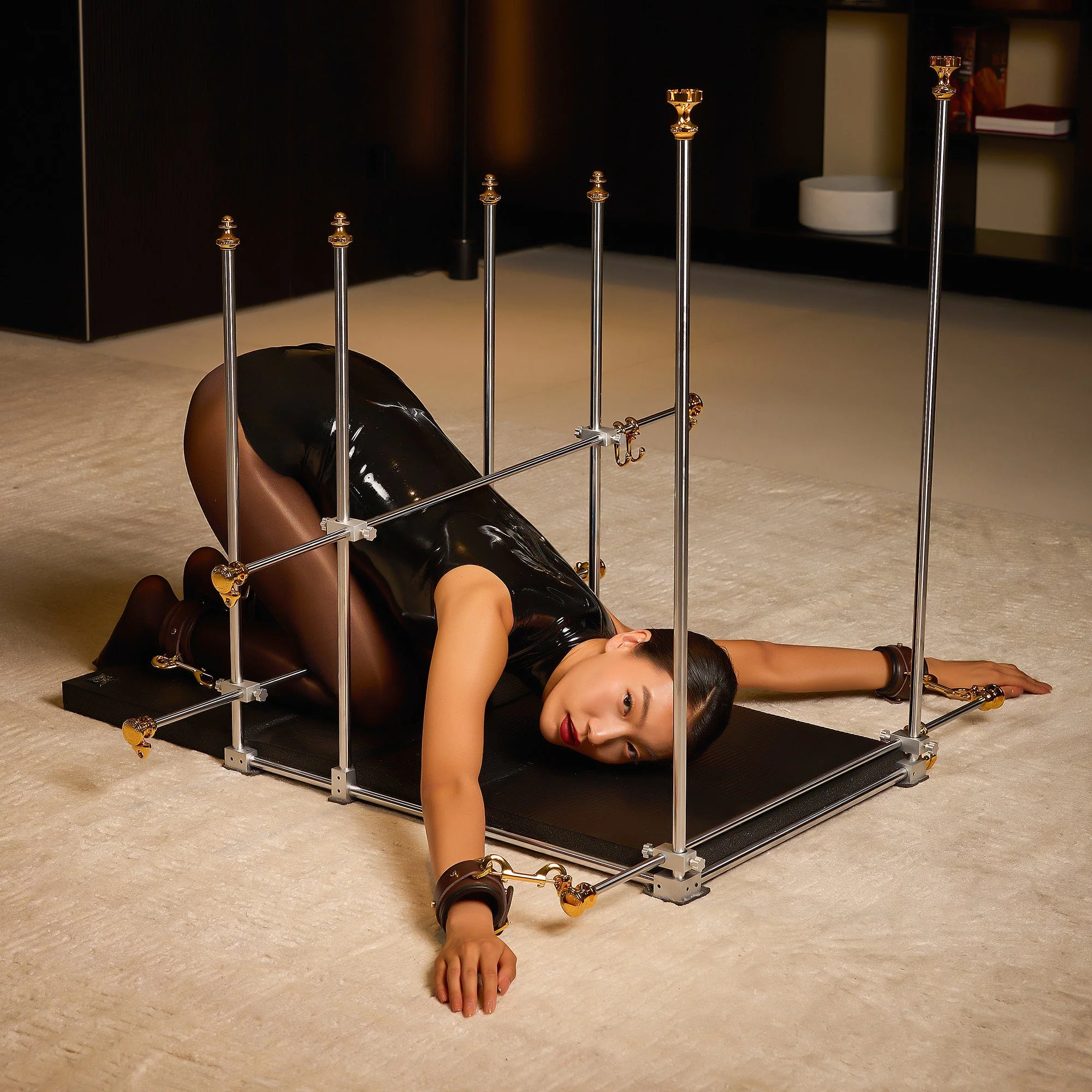 Restraint Frame Mounting System - Image 3